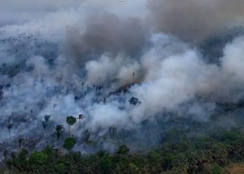 4 pontos da nova lei de licenciamento ambiental: o que acontece agora?