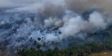 4 pontos da nova lei de licenciamento ambiental: o que acontece agora?