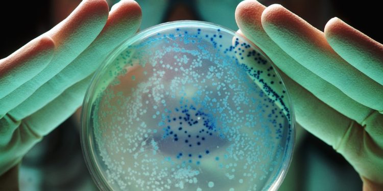 Mortes por superbactérias resistentes a antibióticos podem crescer 60% no mundo até 2050, diz estudo