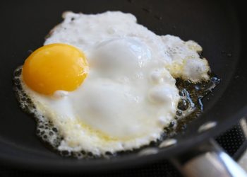 Mudou de novo? Estudo revela que comer ovos pode ajudar a reduzir 'colesterol ruim'