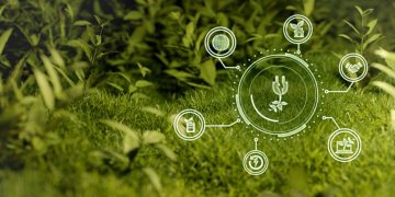 O que fazem os CEOs protagonistas do movimento ESG hoje em dia?