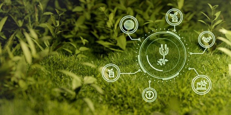 O que fazem os CEOs protagonistas do movimento ESG hoje em dia?