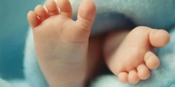 Os bebês com DNA de 3 'pais' nascidos sem doença hereditária