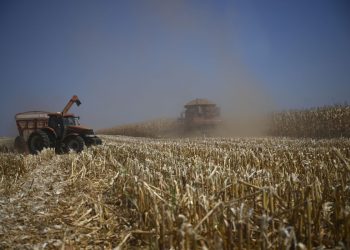 Por que o agro brasileiro já vive o futuro que o mercado americano descobre só agora?