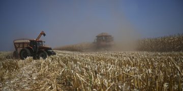 Por que o agro brasileiro já vive o futuro que o mercado americano descobre só agora?