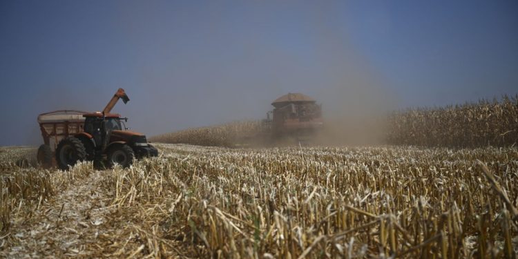 Por que o agro brasileiro já vive o futuro que o mercado americano descobre só agora?