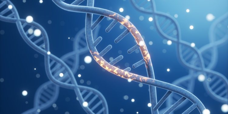 Cientistas alertam: vida sintética ainda não existe, mas já é vista como ameaça à natureza