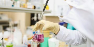 Como fazer com que a pesquisa gere valor real para as empresas