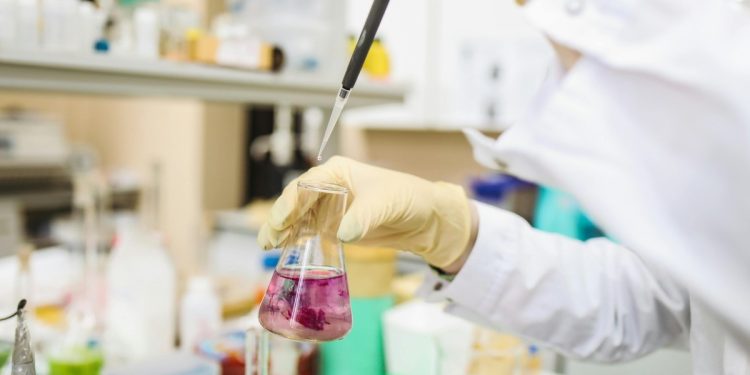 Como fazer com que a pesquisa gere valor real para as empresas