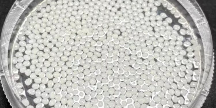 Pesquisadores desenvolvem bolhas comestíveis de chá verde que podem ajudar a reduzir a absorção de gordura