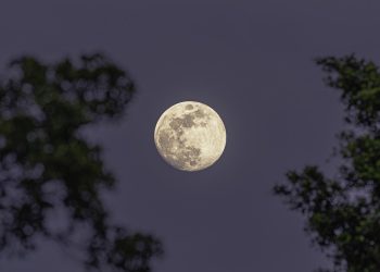 Como tirar foto da Lua com iPhone: técnicas para capturar o astro com nitidez