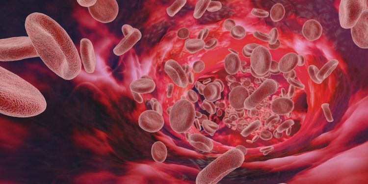 Exame de saúde feito aos 7 anos de idade pode determinar quanto tempo você vai viver, diz estudo