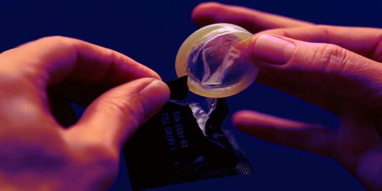 Como camisinhas ajudaram a estudar cigarras na Amazônia