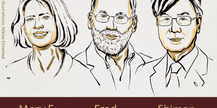Nobel de Medicina: cientistas ganhadores descobriram as 'células guardiãs' do sistema imunológico; entenda
