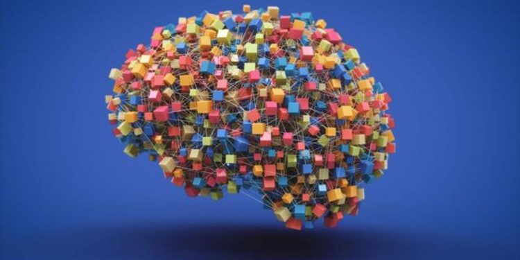 O pico da atividade cerebral acontece entre os 55 e os 60 anos, diz estudo