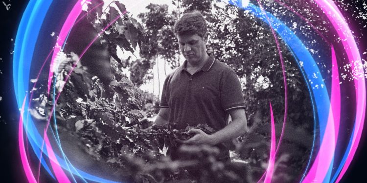 Programa de agricultura regenerativa da Nespresso eleva produção de café em fazenda no Cerrado mineiro