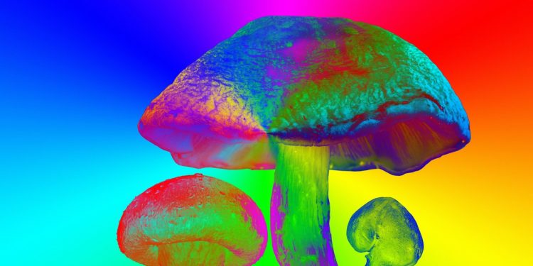 Substâncias psicodélicas ganham espaço também como potenciais anti-inflamatórios