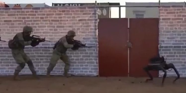 'Cães-robôs' com fuzis aparecem em treinamento do Exército chinês; vídeo impressiona