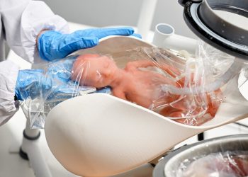 'Útero artificial' promete manter bebês vivos fora da barriga da mãe