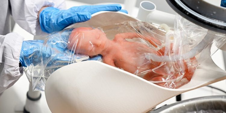 'Útero artificial' promete manter bebês vivos fora da barriga da mãe