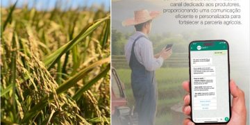 Camil usa IA para aproximar campo e indústria com a assistente virtual Camila