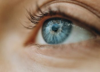 Chip que recupera a visão deve ser lançado em 2026