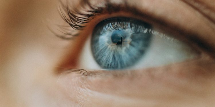 Chip que recupera a visão deve ser lançado em 2026