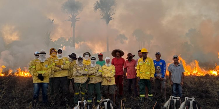 Mestres do fogo: as queimadas que salvam vidas no Cerrado