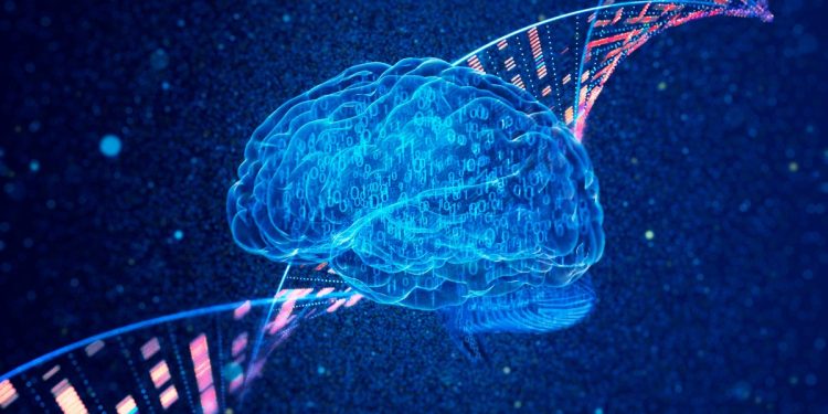 Novas ferramentas, novas esperanças: é possível antecipar diagnóstico de Alzheimer