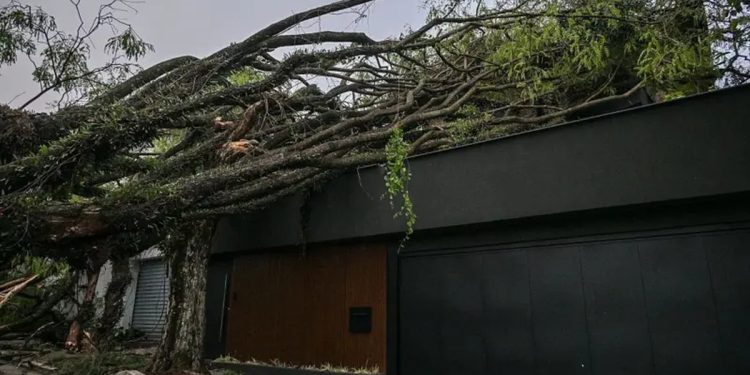 Por que seguros residenciais contra desastres climáticos ainda são tão incomuns no Brasil?