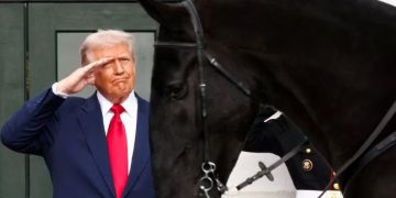 Trump suspende tarifas de 40% de café, carnes e outros produtos brasileiros