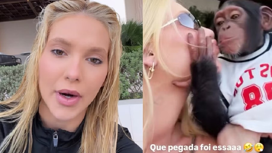 Influenciadora falou sobre o vídeo do macaco
